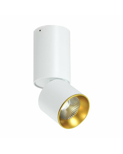 Точечный светильник Polux 309501 Nixa цена