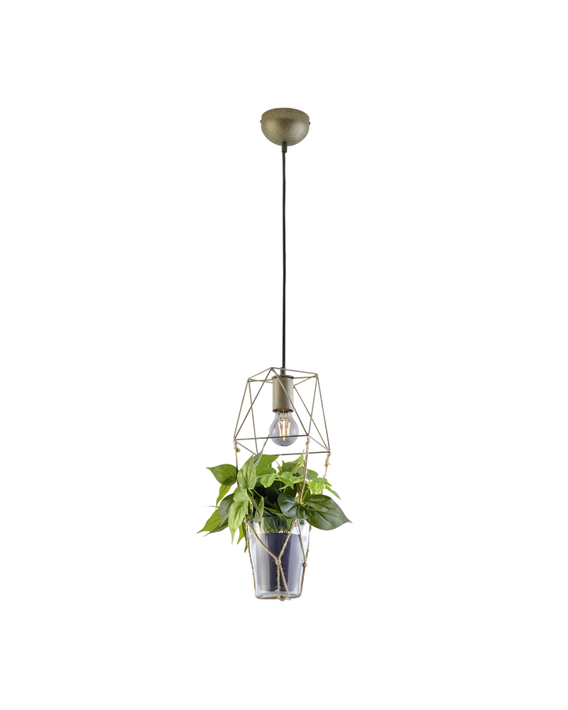 Подвесной светильник Trio 301000167 Plant цена