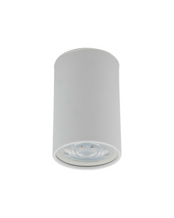 Точечный светильник TK Lighting 5766 Top GU10 1x10W IP20 Wh цена