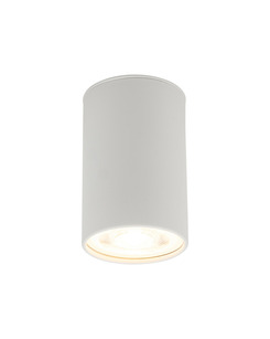 Точковий світильник TK Lighting 5766 Top GU10 1x10W IP20 Wh  купити