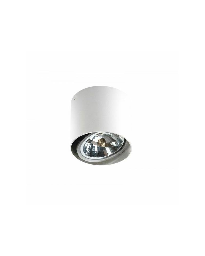 Точечный светильник Azzardo AZ1356 ALIX 12V (GM4110_WH) Фото 0 Точечный светильник Azzardo AZ1356 ALIX 12V (GM4110_WH) цена