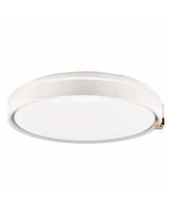 Люстра с пультом светодиодная, потолочный светильник Goldlux 328847 Arletta 40 Led 1x48W 3000K-6000K 5200Lm IP44 Серый