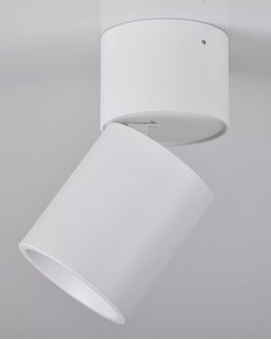 Точковий світильник Goldlux 314239 Nixa GU10 1x10W IP20 WH  купити