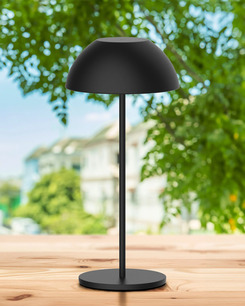Светильник уличный портативный Goldlux 329950 Tanzania LED 1x1,8W 2700K 160Lm IP44 черный