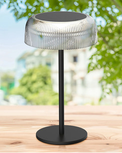 Светильник уличный портативный Goldlux 329912 Trypolis LED 1x2W 2700K 180Lm IP44 черный